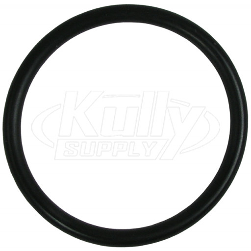 Sloan H-553 Tailpiece O-Ring