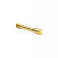 Sloan DO-3 Rough Brass Screw