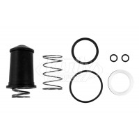 Sloan DO-32-AAN Repair Kit (for Sack Assembly & Stem)