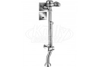 Sloan Royal BPW 1150-1.6 ES-S Bedpan Washer Flushometer
