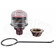Sloan Crown CR-1014-A Piston Kit  0.125 gpf (for urinals)